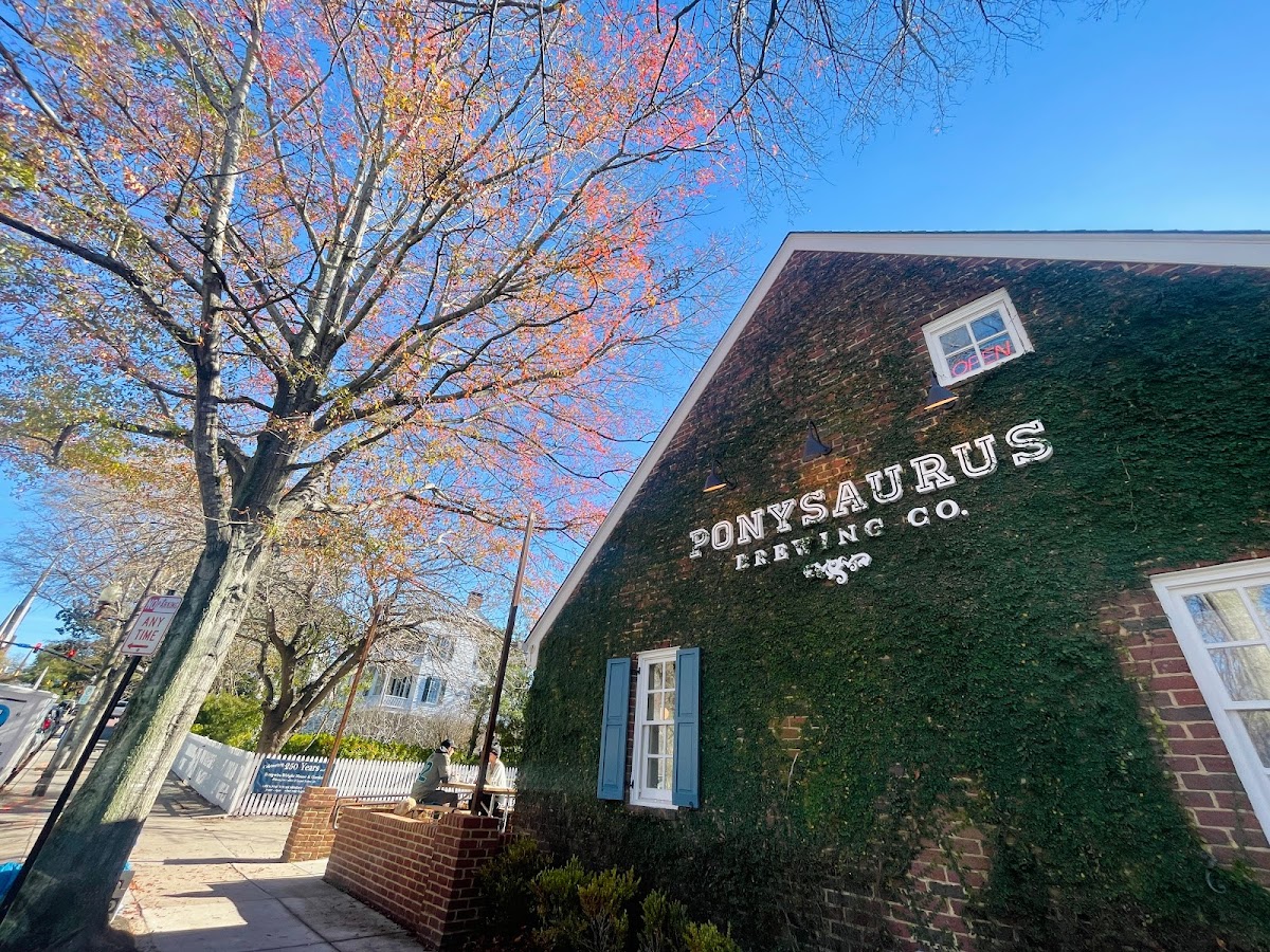 Ponysaurus Brewing Co.
